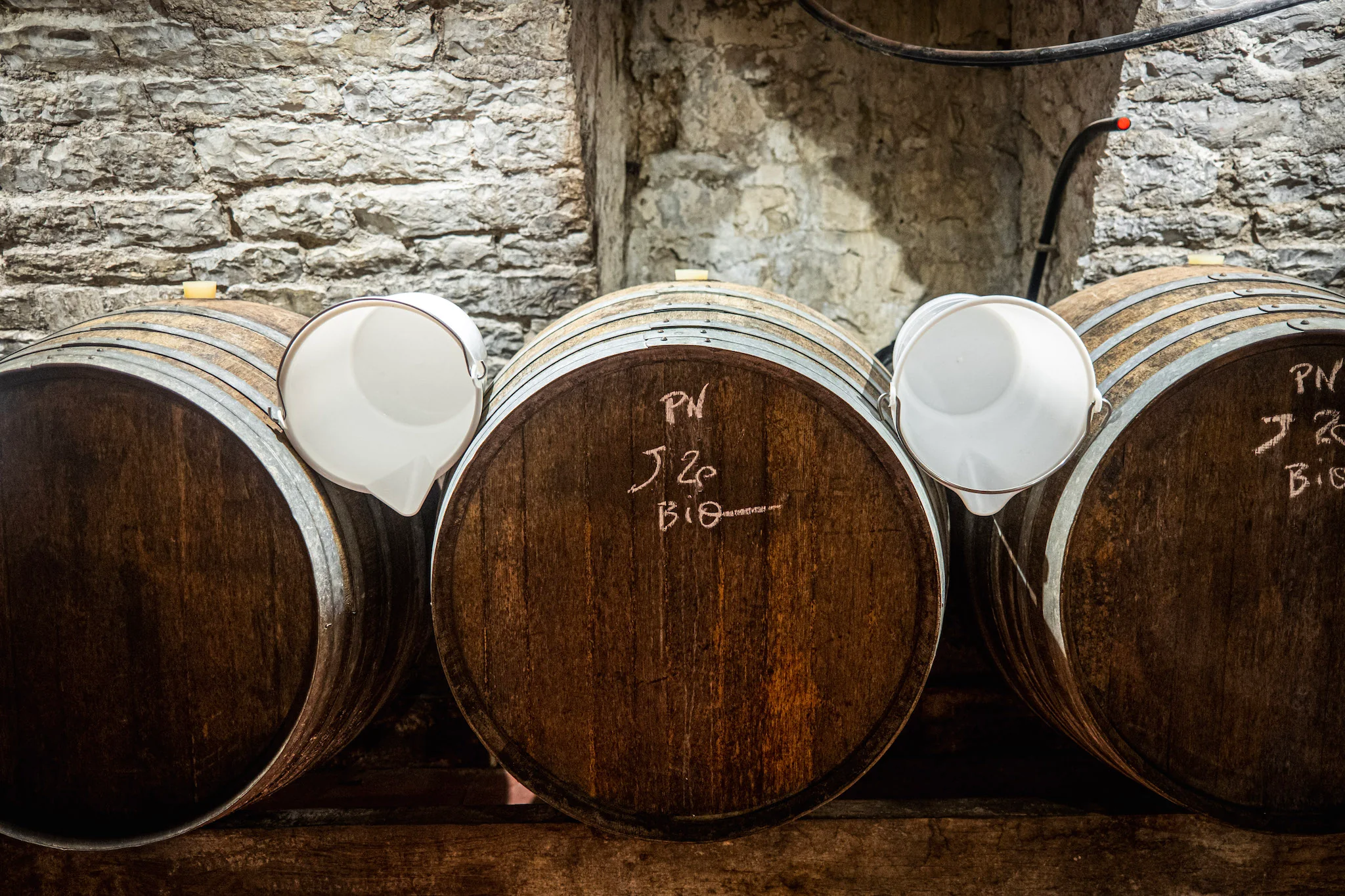 Curation for the Discerning Palate